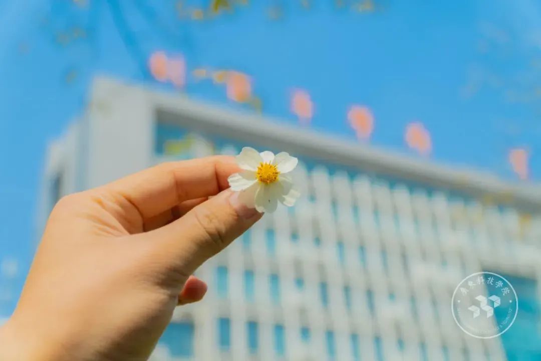 图片17.jpg